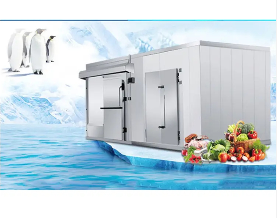Wholesale 20 ft cold room container freezer vegetables cold storage room for sale