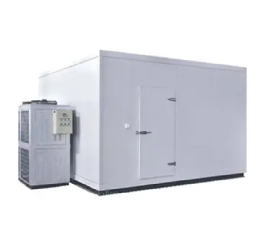 China Supplier pu panel cold storage room fruit and vegetable cold room with Compressor