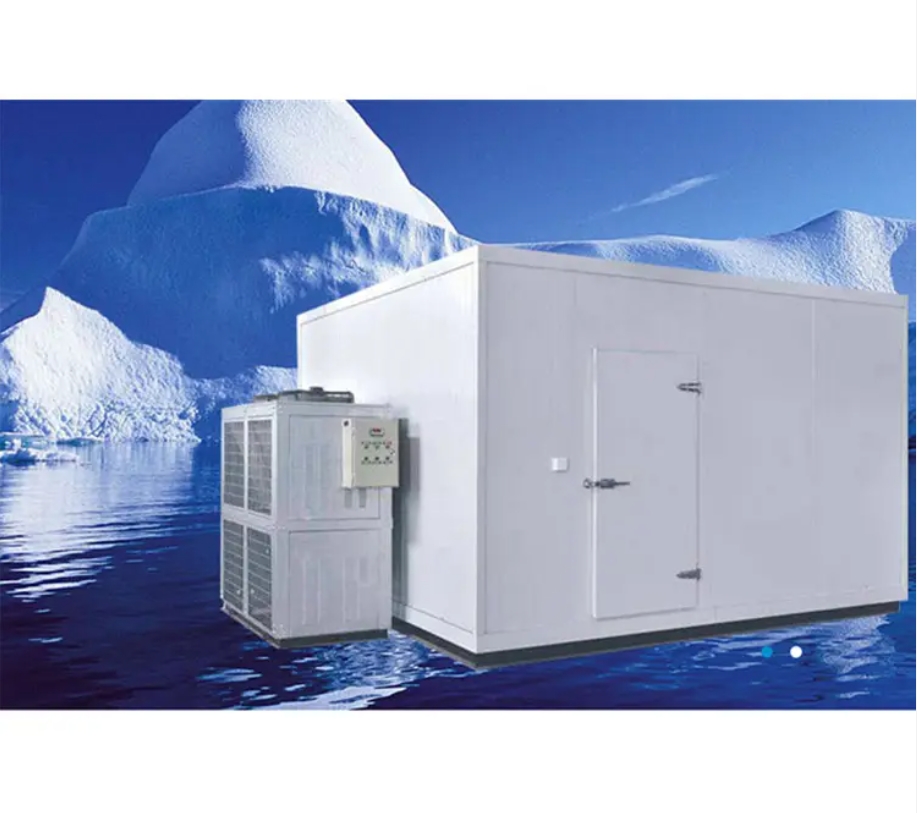 Hot Good Quality Low Temperature Industrial Mobile Cold Rooms For Sale