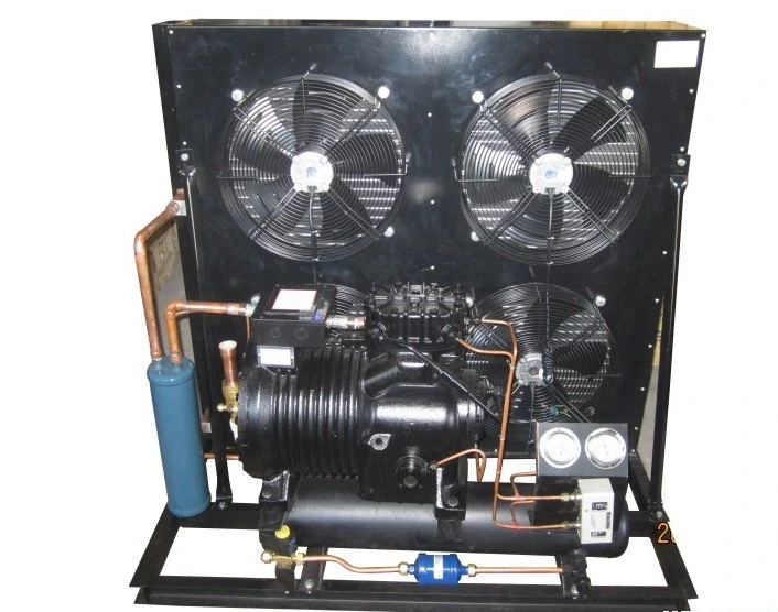 China Supplier Air Cooled Condensing Unit(pic1) China Supplier Air Cooled Condensing Unit(pic1)