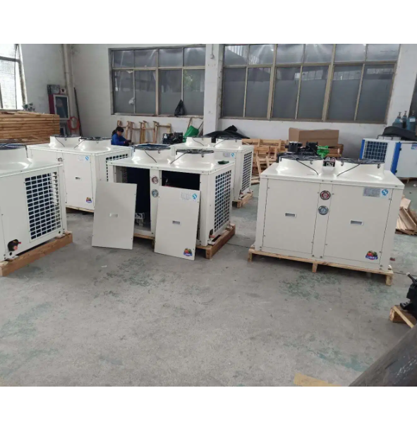 France Maneurop Compressor Condensing Unit, Refrigeration Equipment