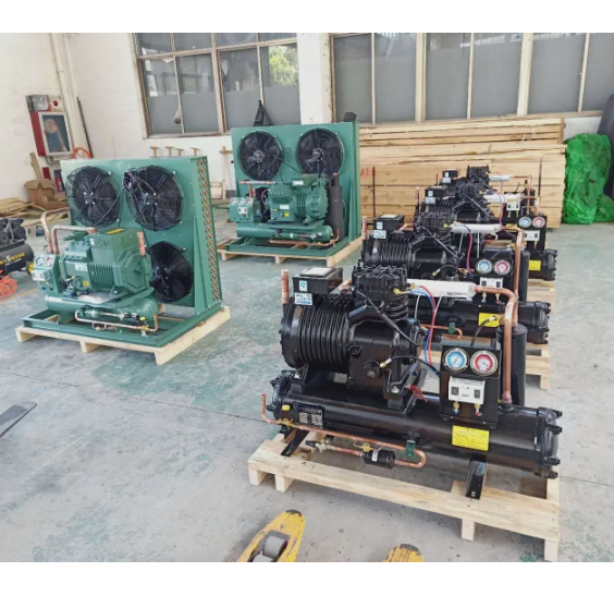 China Hot Sale Compressor Refrigeration Condensing Unit for Fish, Meat Seafood Frozen Freezer
