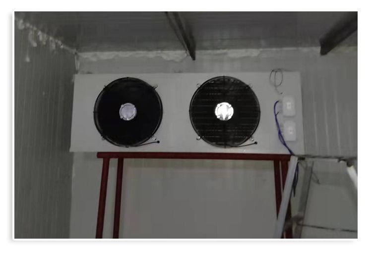 冷库制冷机组全套设备小型家用保鲜冷藏冷冻库冷风机风冷水冷机(pic12)