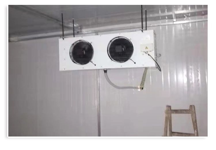 冷库制冷机组全套设备小型家用保鲜冷藏冷冻库冷风机风冷水冷机(pic13)
