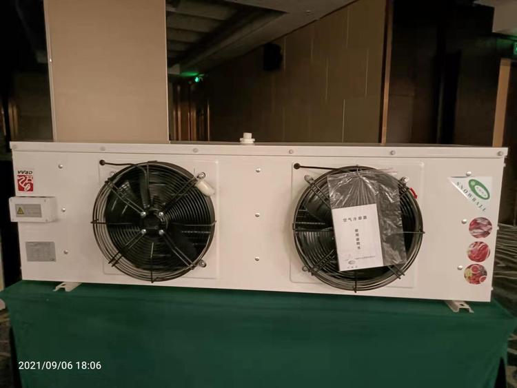浙江厂家供应制冷设备D型吊顶式冷风机DD40空气冷却器蒸发器批发(pic20)