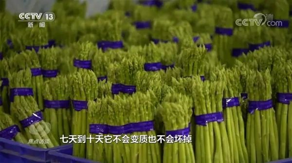 博泽制冷 | 焦点访谈：从田间到餐桌 供应链中的冷链价值(pic10)