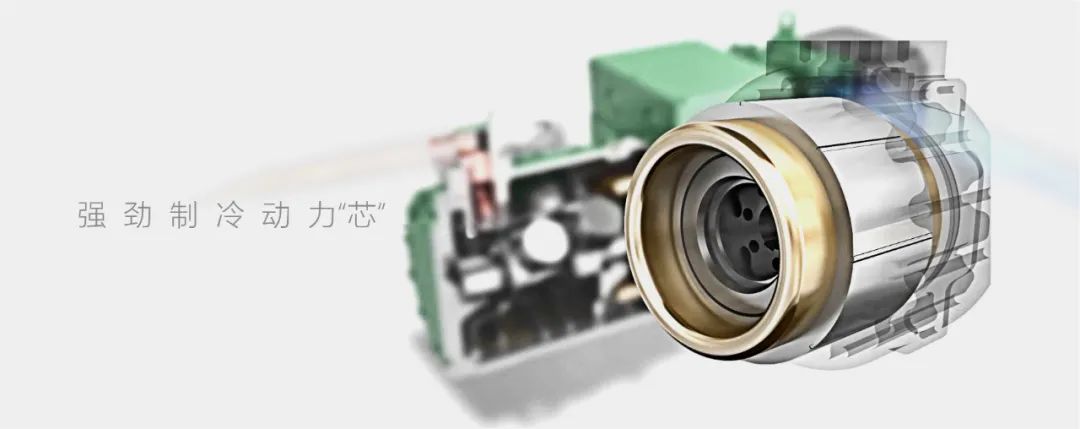 【产品推荐】浙江商业机械厂雪鹰活塞式制冷压缩机(pic15) 【产品推荐】浙江商业机械厂雪鹰活塞式制冷压缩机(pic15)