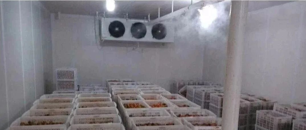 冬季冷库的冷凝压力过低怎么办？
